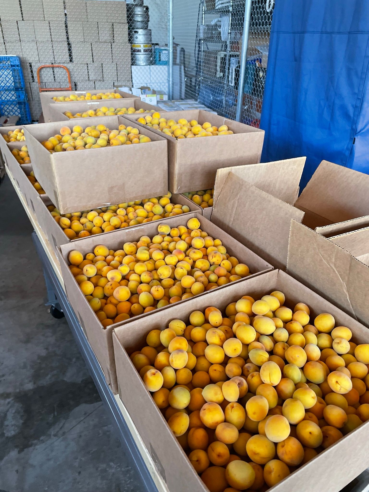 Summer Drinks, California Bounty