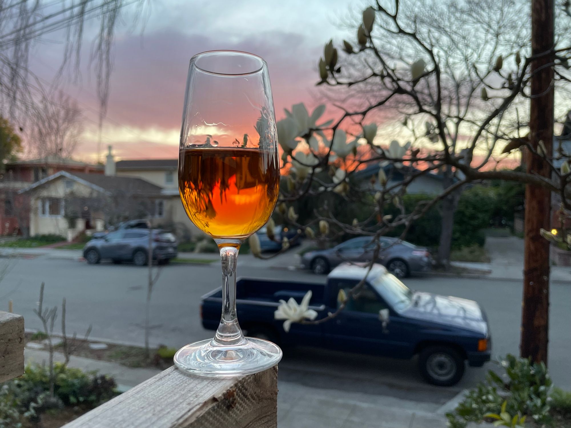 A glass of Prunus Mume California Umeshu with magnolia blossoms and a sunset in the background.