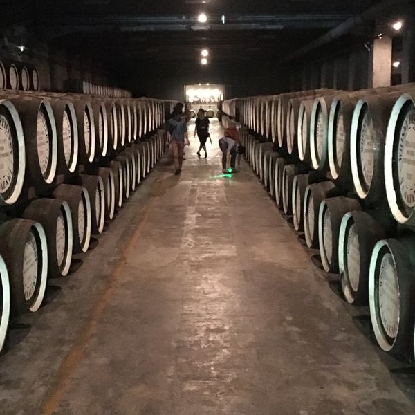 Four people walk along an aisle in a Scottish warehouse full of barrels. 