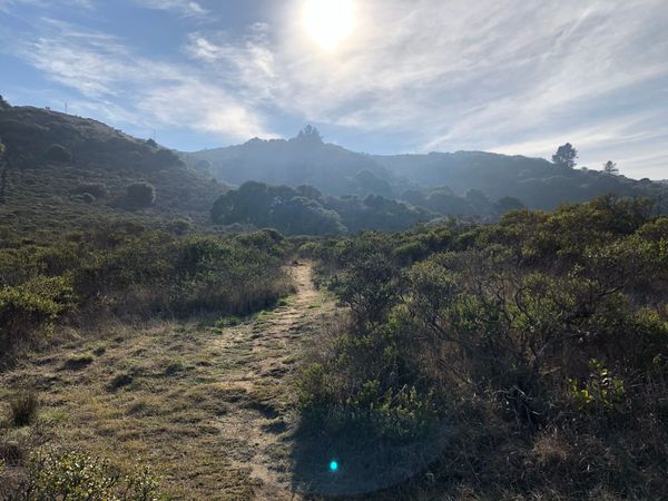 A hiking trail tapers off into the distant hills. 