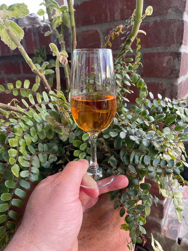 A hand holds a copita glass of whiskey up against a plant and a brick wall. 